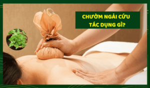 chườm ngải cứu có tác dụng gì
