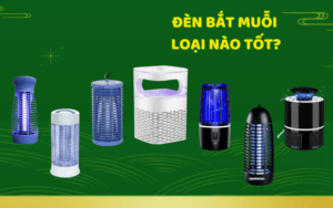 den-bat-muoi-loai-nao-tot