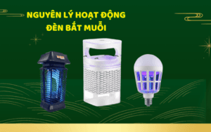 nguyen-li-hoat-dong-den-bat-muoi-co-quat-hut