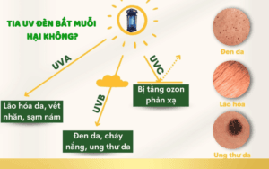 tia-uv-den-bat-muoi-co-hai-khong